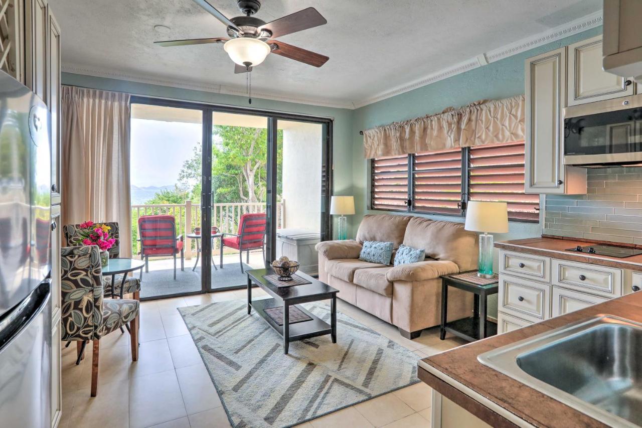 Saint Thomas Condo With Ocean Views, Walk To Beach! Frydendal Kültér fotó