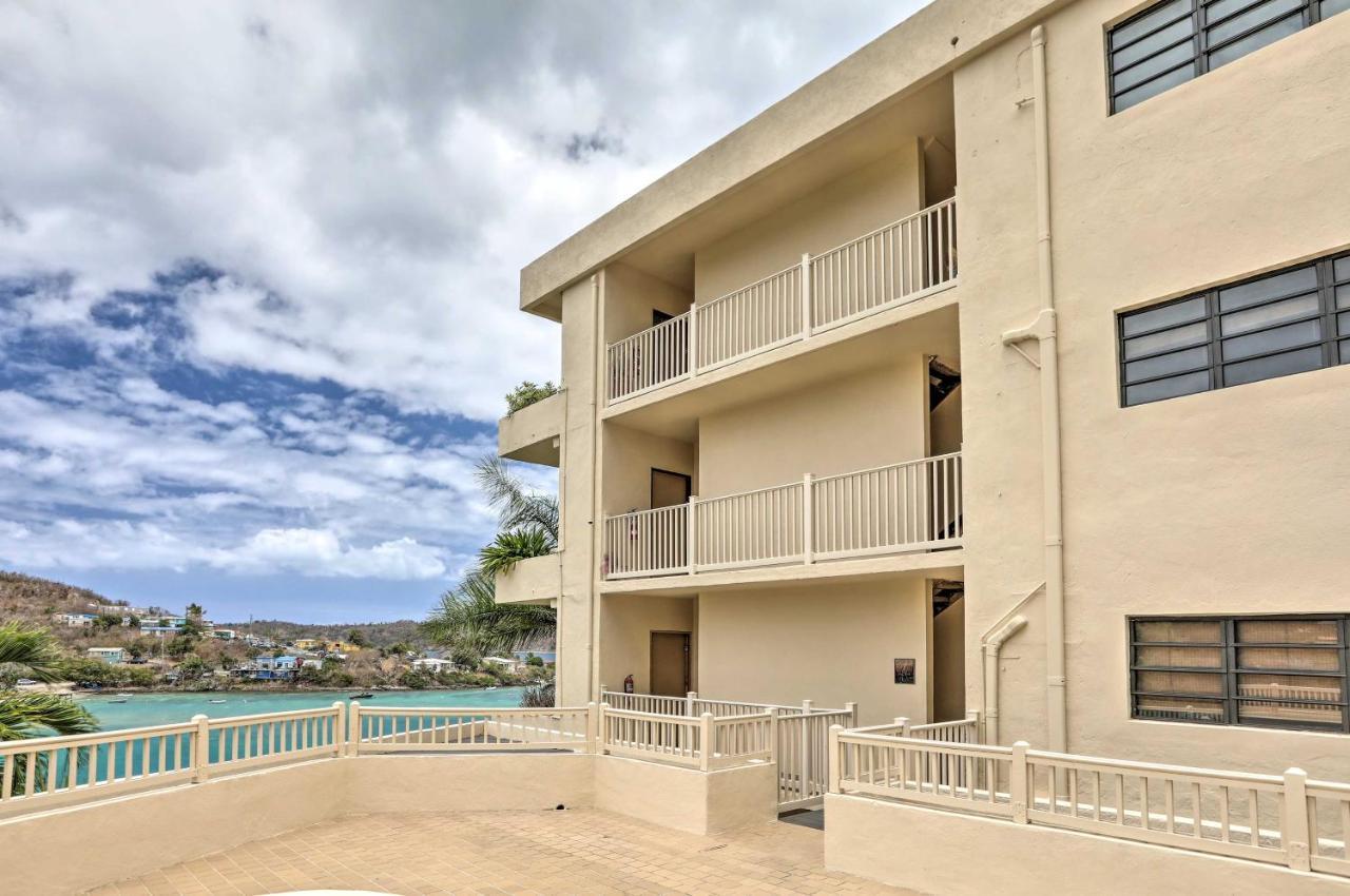 Saint Thomas Condo With Ocean Views, Walk To Beach! Frydendal Kültér fotó
